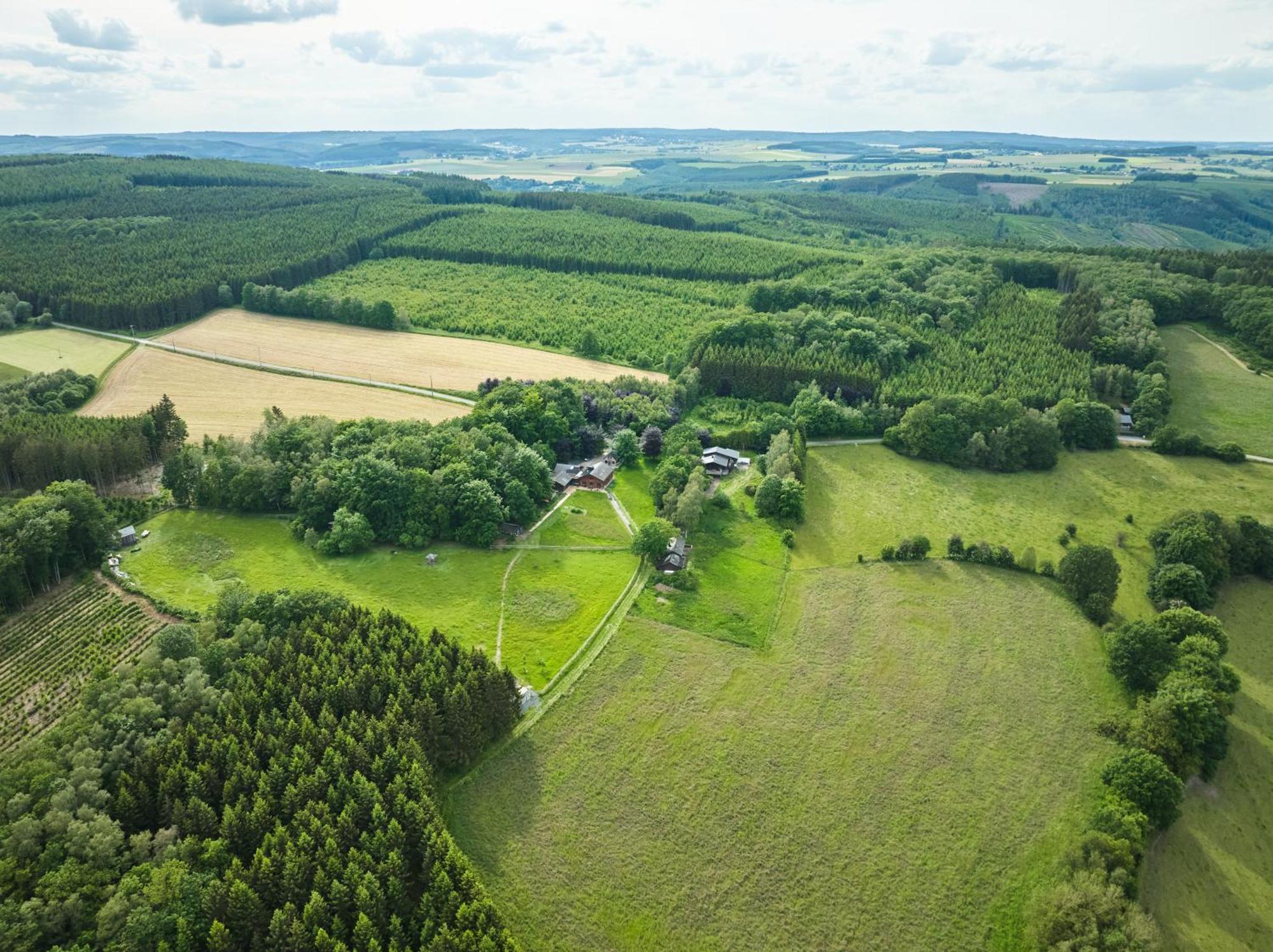 Chalet Le Tilleul Bertogne Zewnętrze zdjęcie